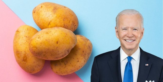 Pres. Biden next to a small group of yellow potatoes on a pink/blue background