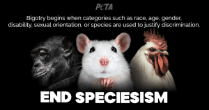 End Speciesism logo Feds Cite Local Puppy Mill Over Dogs With Oozing Eyes; PETA Seeks Criminal Probe