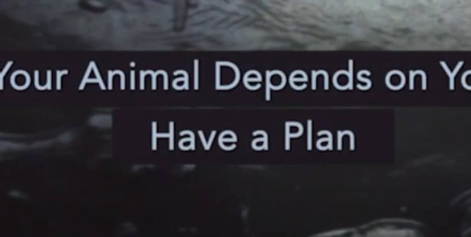 Natural Disasters: Have A Plan (Hurricane) 0:30