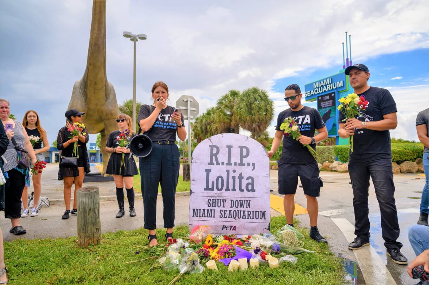 Group of protesters at Lolita's memorial