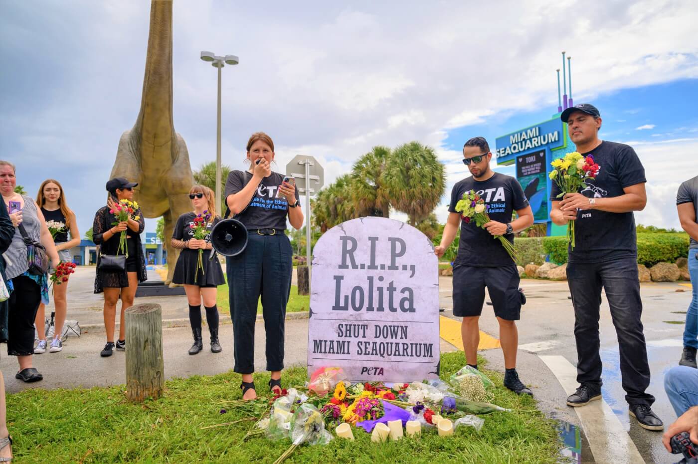 Group of protesters at Lolita