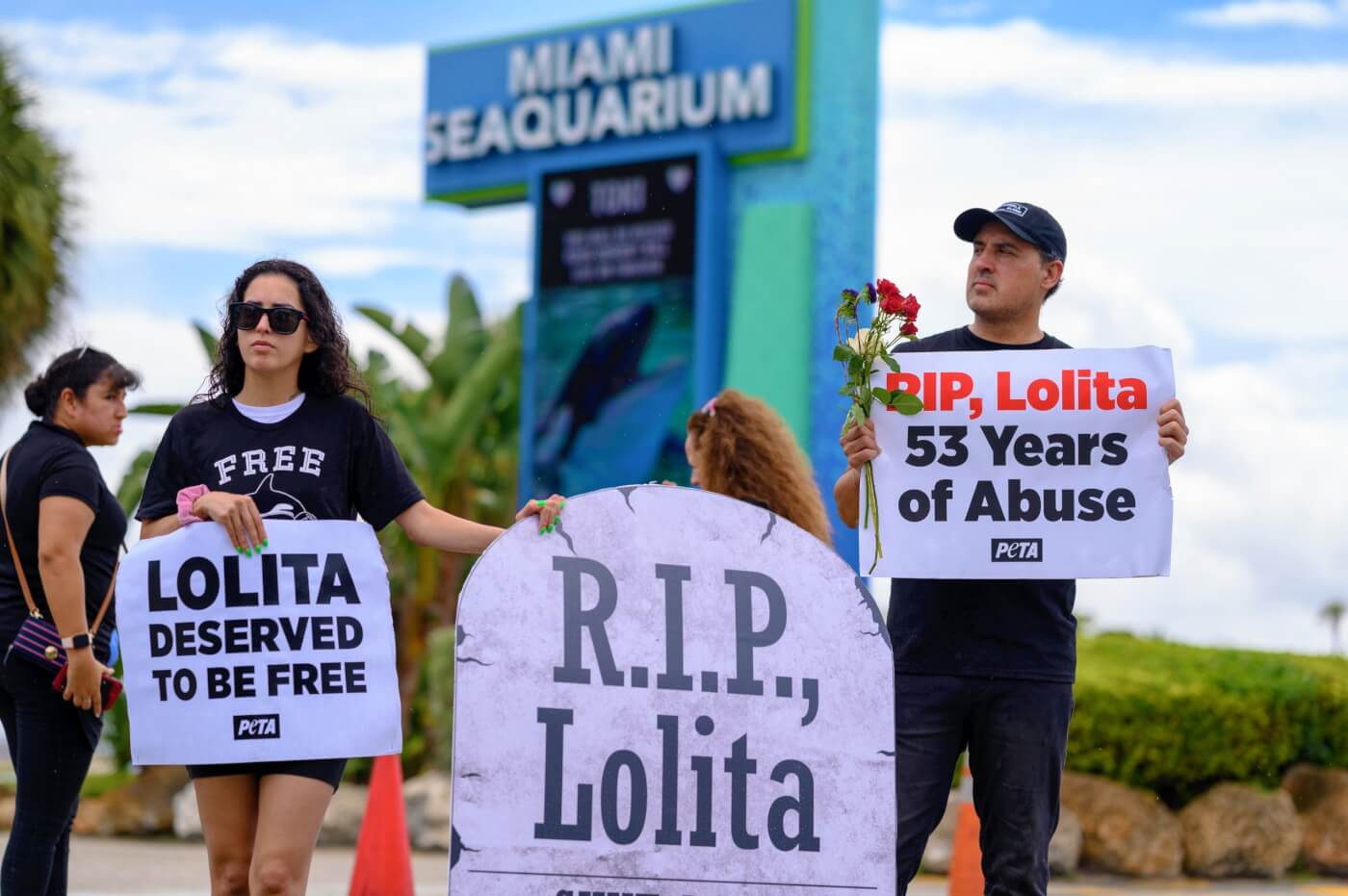 Lolita memorial protest with Miami Seaquarium sign in the background