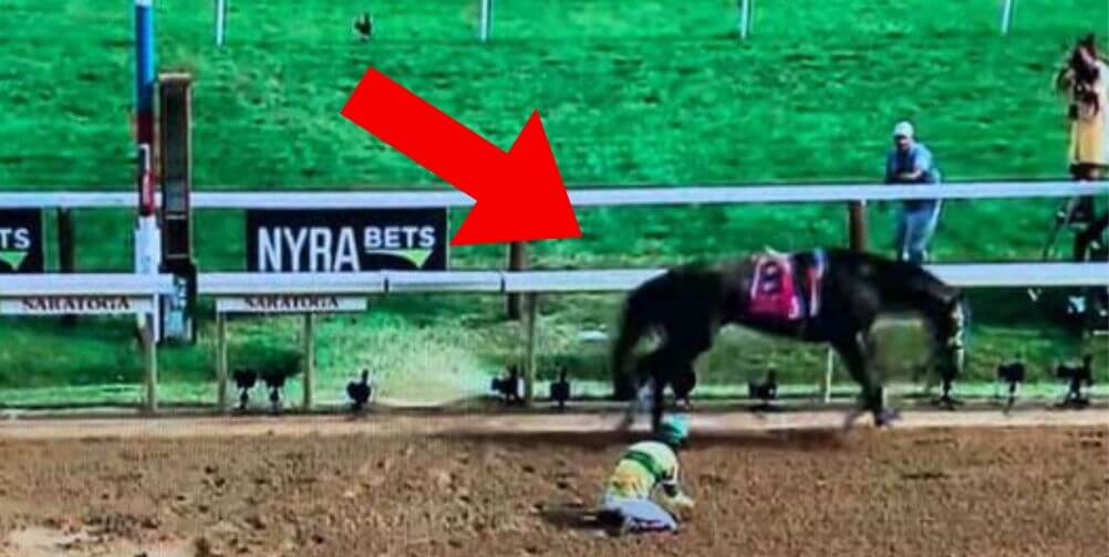 Maple Leaf Mel’s breakdown on NY track with red arrow pointing at them