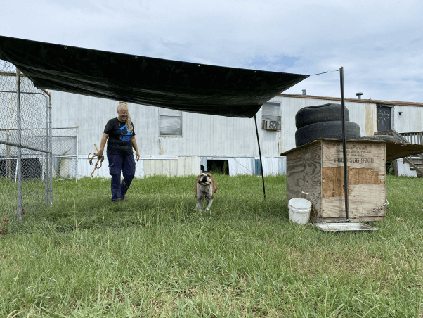 Max runs towards the camera and a PETA CAP worker stands under the tarp for shade