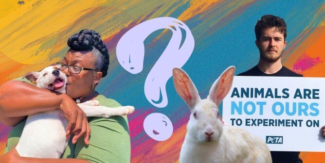 Think You Have What It Takes to Get a Perfect Score on a Quiz About PETA?