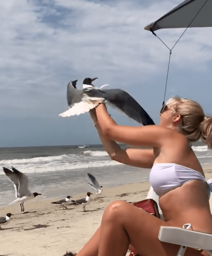 blond woman catching seagull on a beach