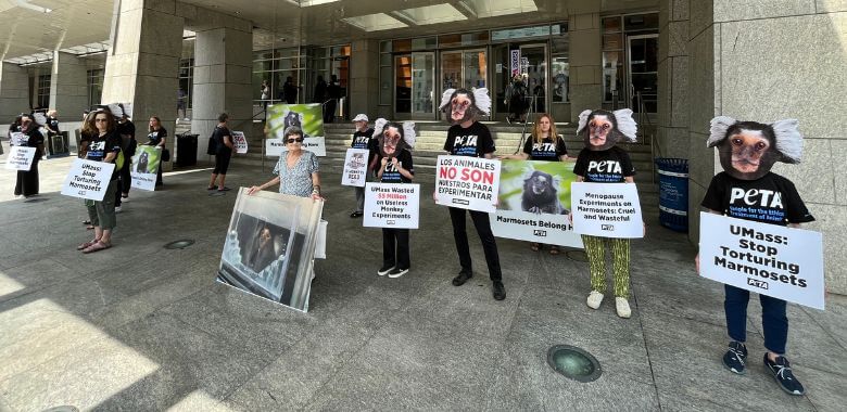 ‘Marmosets’ Protest Monkey Experimenter at Psychologists’ Conference