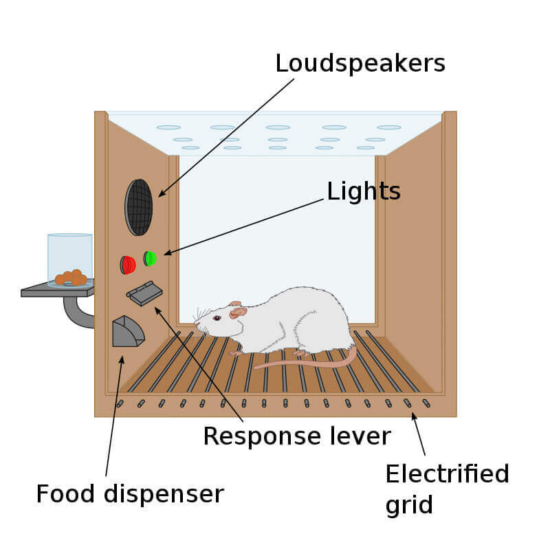 Illustration featuring the Skinner box scheme