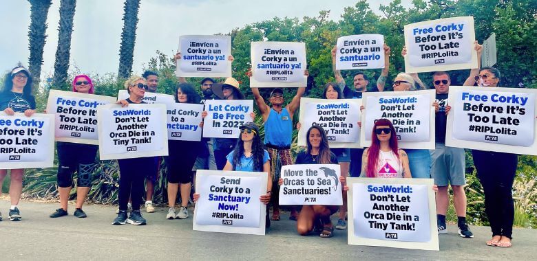 Dolphin Defenders Descend on SeaWorld to Demand Corky’s Freedom