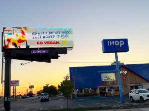 Photo of an Ihop with PETA's Labor Day billboard positioned to the left. Photo was taken at sunset