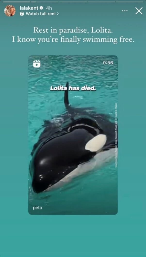Lala Kent's instagram story for Lolita