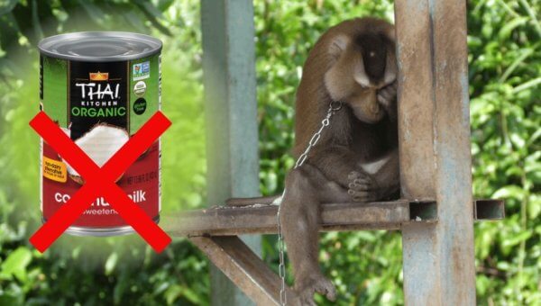 Urge Whole Foods to Ban the Sale of Coconut Milk From Thailand
