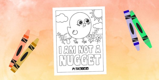Coloring page with drawings of different color crayons. On the page has graphic of PETA's chick with "I am not a nugget" text