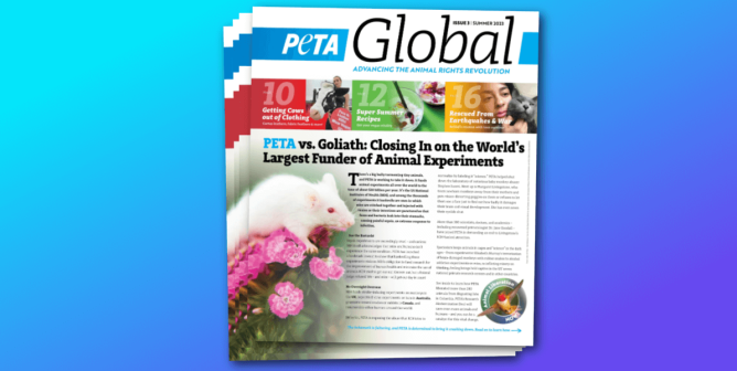 the front cover of peta global magazine in front of a blue background