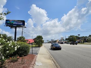 Sidewalk view showing PETA's ditch dairy billboard on the left side of the road