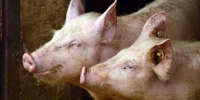 Animal Use in OB/GYN Physician Residency Training Programs in the U.S.