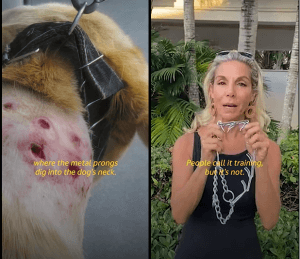 tamargeller Celebrity Dog Trainer Tamar Geller Warns That Prong Collars Are Abusive in New PETA Campaign