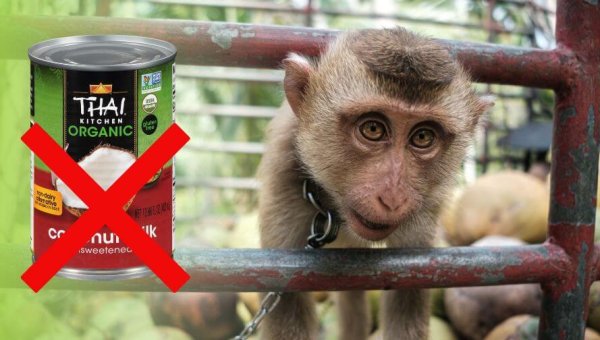 Urge Whole Foods to Ban the Sale of Coconut Milk From Thailand