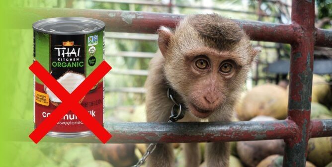 Urge Whole Foods to Ban the Sale of Coconut Milk From Thailand