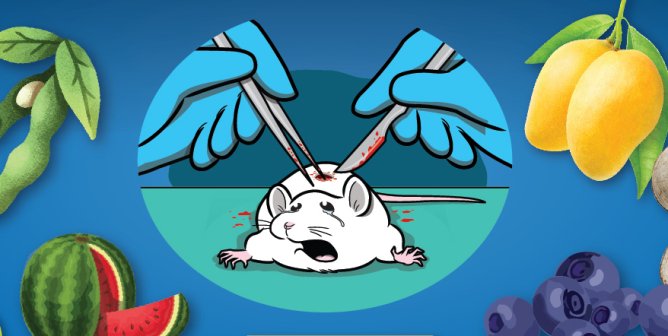 Campaign Updates: USDA ‘Tax’ on Farmers Funds Cruel Tests