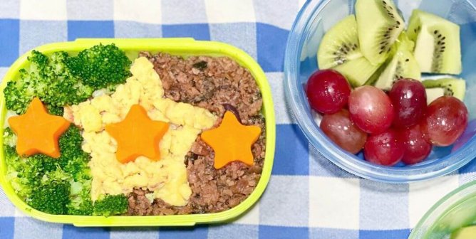vegan bento box lunch for kids showing food in shapes surrounded by veg