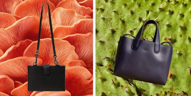 Side-by-side image of a black mushroom leather purse on a mushroom background and a black cactus leather purse on a green cactus background