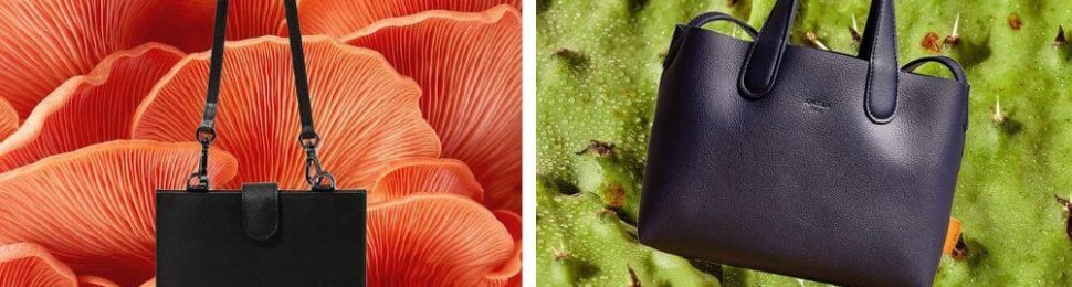 Side-by-side image of a black mushroom leather purse on a mushroom background and a black cactus leather purse on a green cactus background