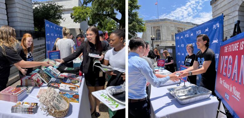 PETA Delivers a Taste of Progress at Annual Congressional Veggie Dog Lunch