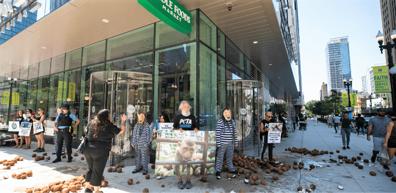 Ties to Monkey Labor Prompts PETA to Dump Coconuts Outside Whole Foods