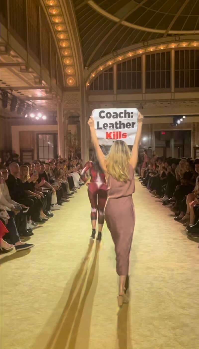 PETA Confronts Hermès CEO Over Exotic Skins at Annual Meeting – WWD