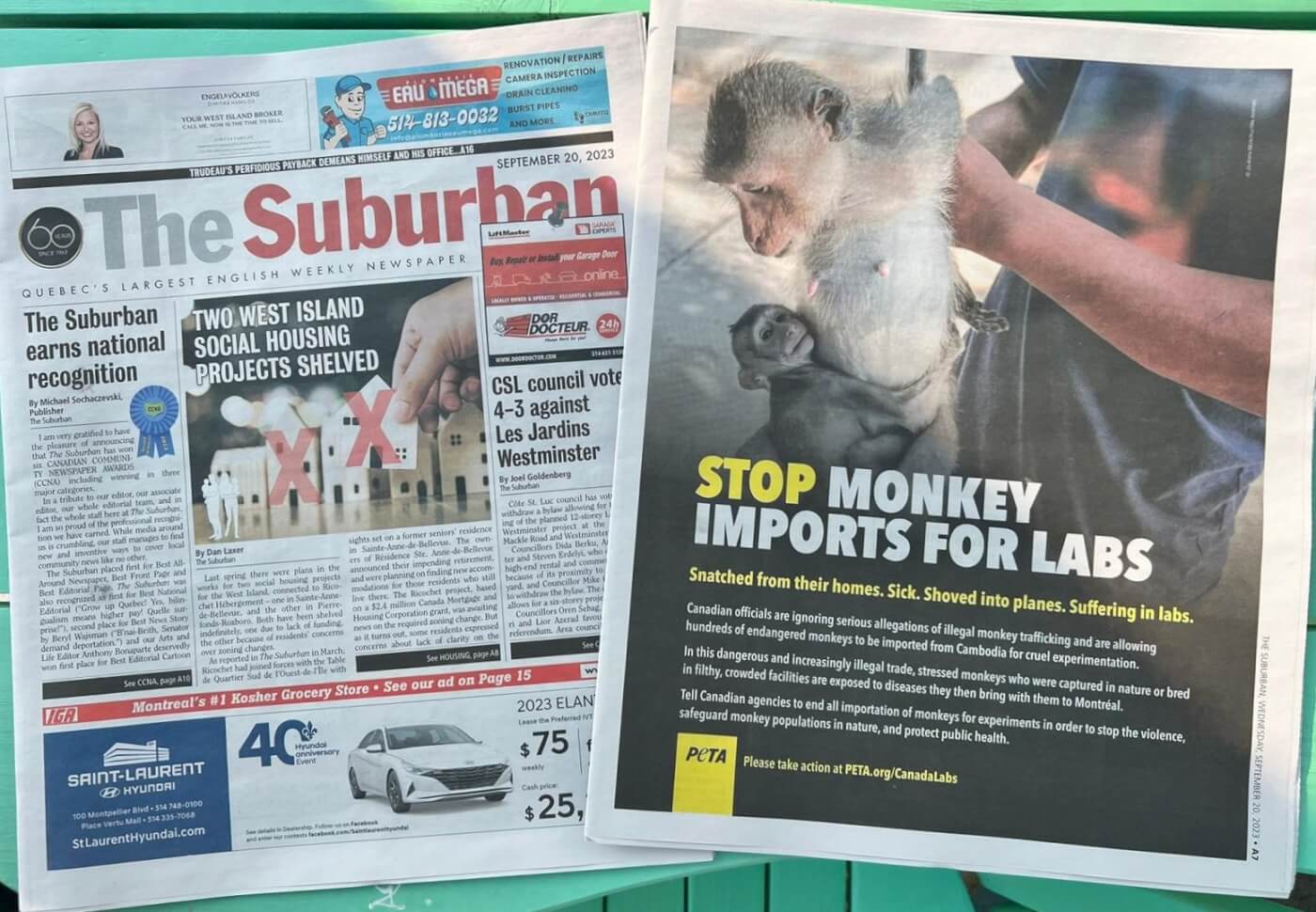 Newspaper pages from The Suburban, with PETA's full page spread included
