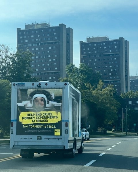 Photo of a truck with a marmoset billboard. Text reads help end cruel monkey experiments at UMASS