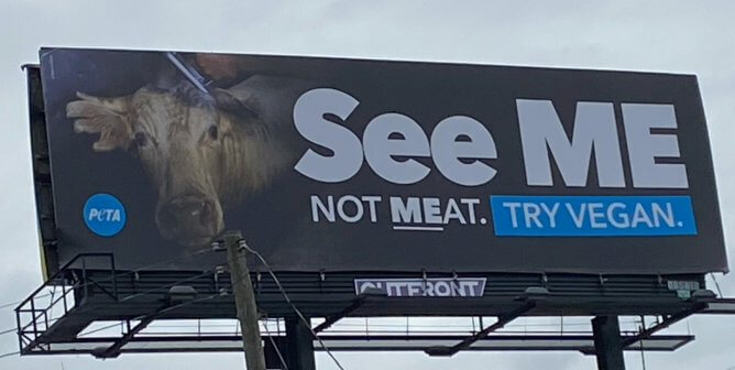 Cows, Chickens, and Pigs on Billboards in the Midwest Say, ‘See Me, Not Meat’