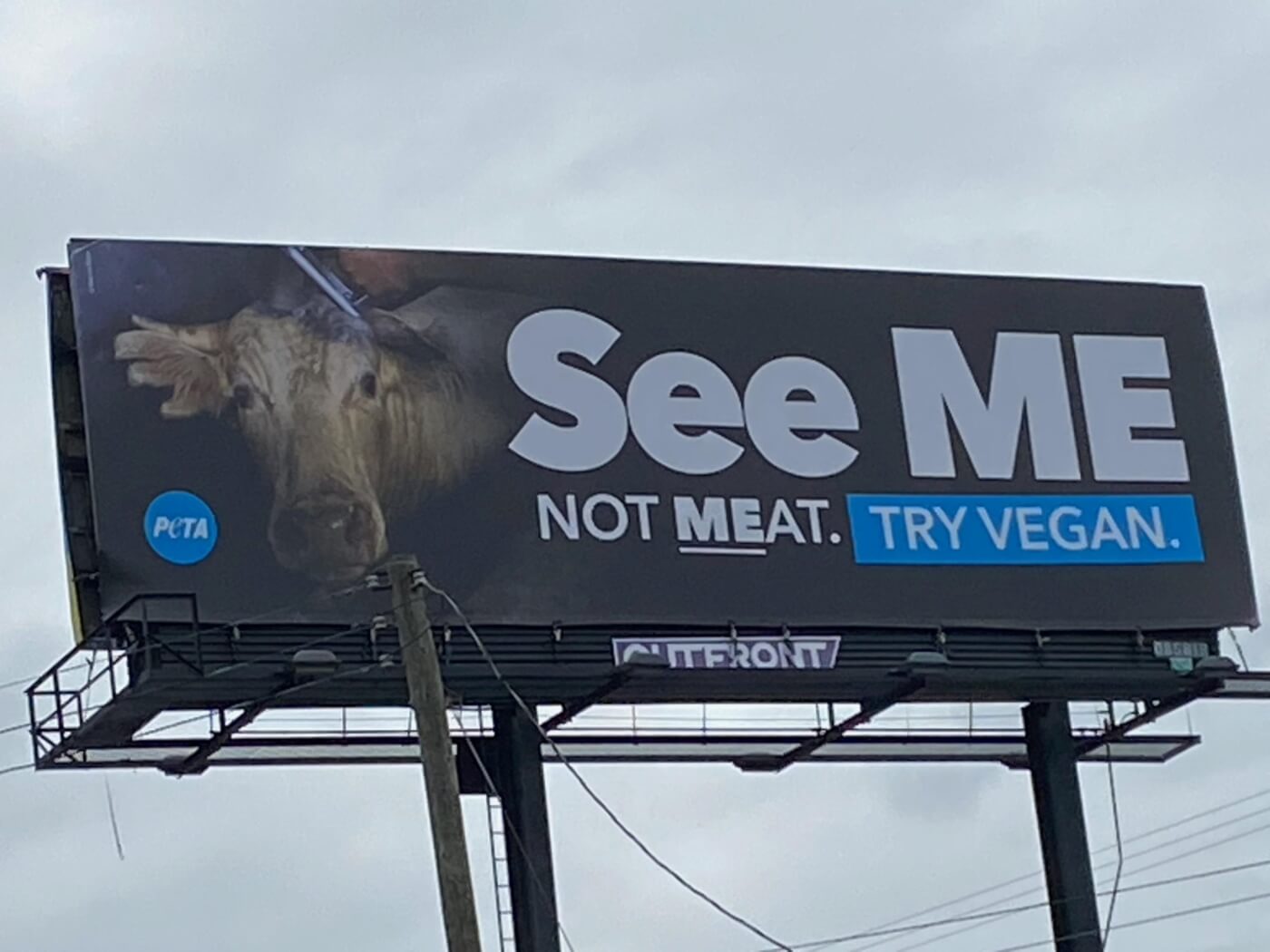 sad looking cow on a billboard that says "see me not meat" 