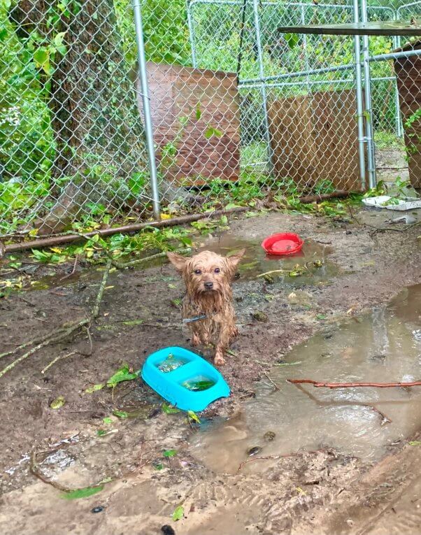 Cash was left outside in Tropical Storm Ophelia