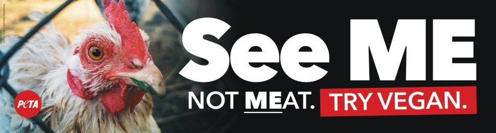 See Me Not Meat (Chicken)