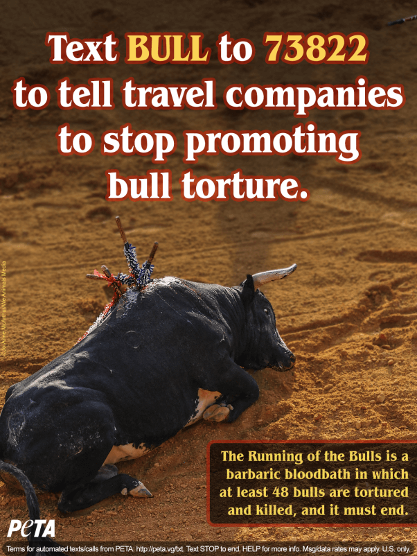 Text BULL to 73822 to tell travel companies to stop promoting The Running of the Bulls.