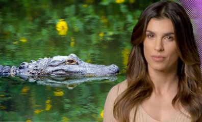 You’ll Jump out of Your Skin After Watching This Star’s New Video