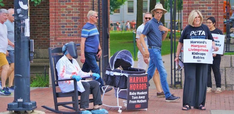 PETA protesters outside Harvard protesting Margaret Livingstone's baby monkey tests