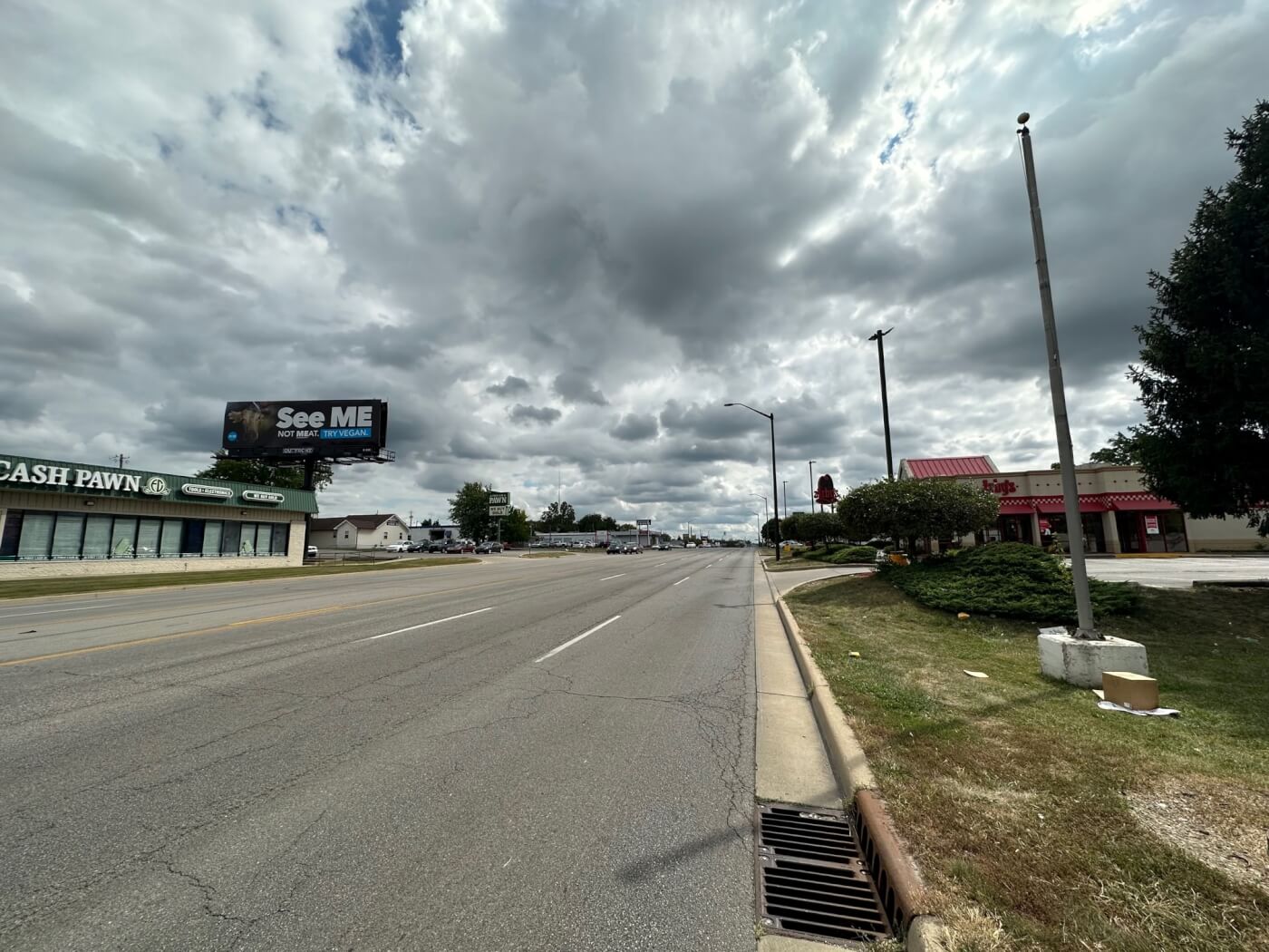 billboard on the side of a road featuring a cow that says "see me not meat"
