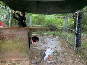 Layla.jpeg 1 Photos: Dogs Left on Chains as Ophelia Floods North Carolina