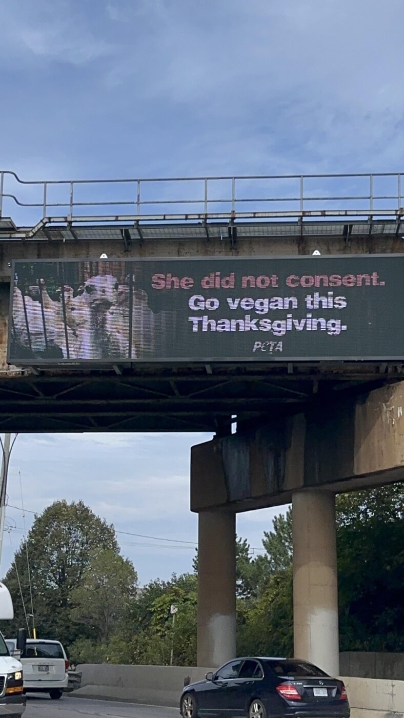 billboard that reads "she did not consent. go vegan this thanksgiving"