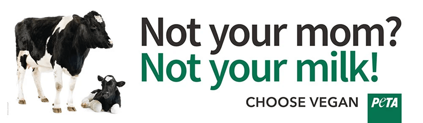 Not Your Mom Not Your Milk cow