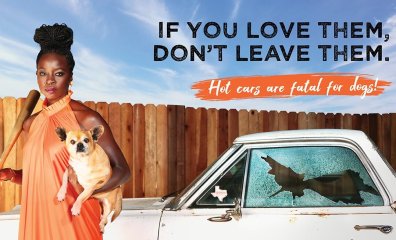 Award-Winning Actor Danai Gurira’s Real-Life Mission to Save Dogs