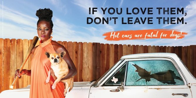Award-Winning Actor Danai Gurira’s Real-Life Mission to Save Dogs