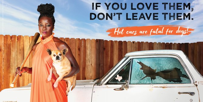 Award-Winning Actor Danai Gurira’s Real-Life Mission to Save Dogs