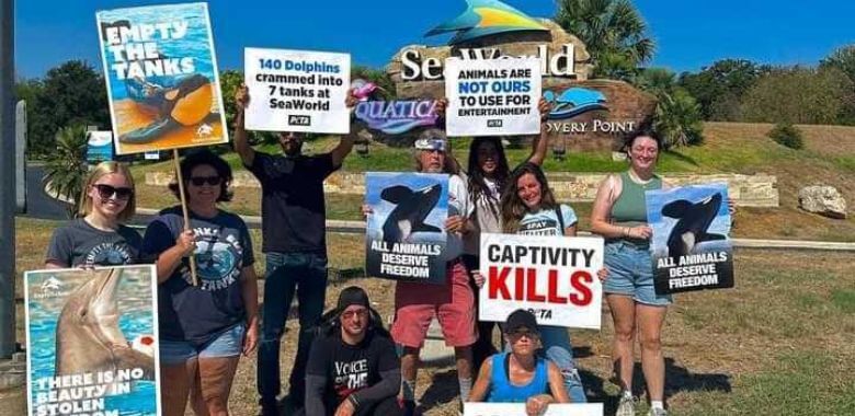 Young Dolphin Defenders Descend on SeaWorld
