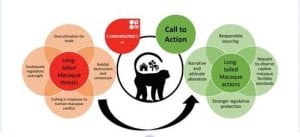 call to action LTM graphical abstract 080823 Experimenters Are Driving Monkey Species to Extinction, Says New Journal Article