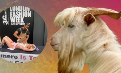 What the Cashmere Industry Does to Goats Will Make Your Hair Stand on End