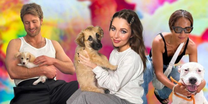 Star-Studded Support: 18 Celebrities Who Light Up National Adopt-a-Dog Month